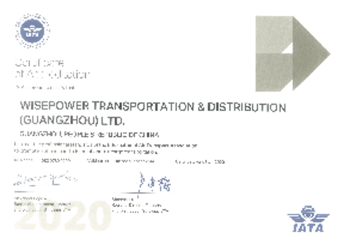 The International Air Transport Association